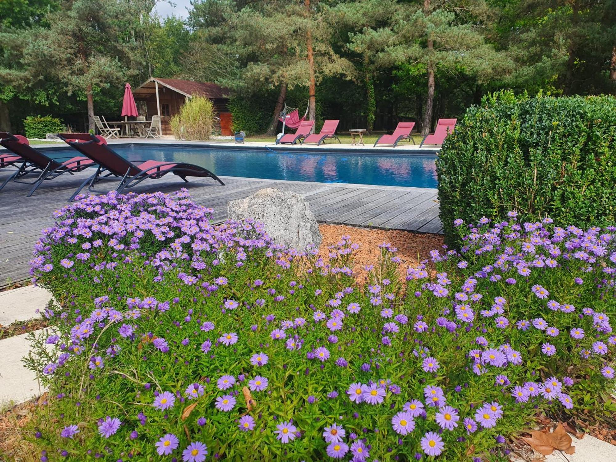 Villa Domaine De Grand-Pas Vernou-en-Sologne Esterno foto